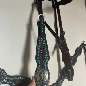 Bridle and breast collar set