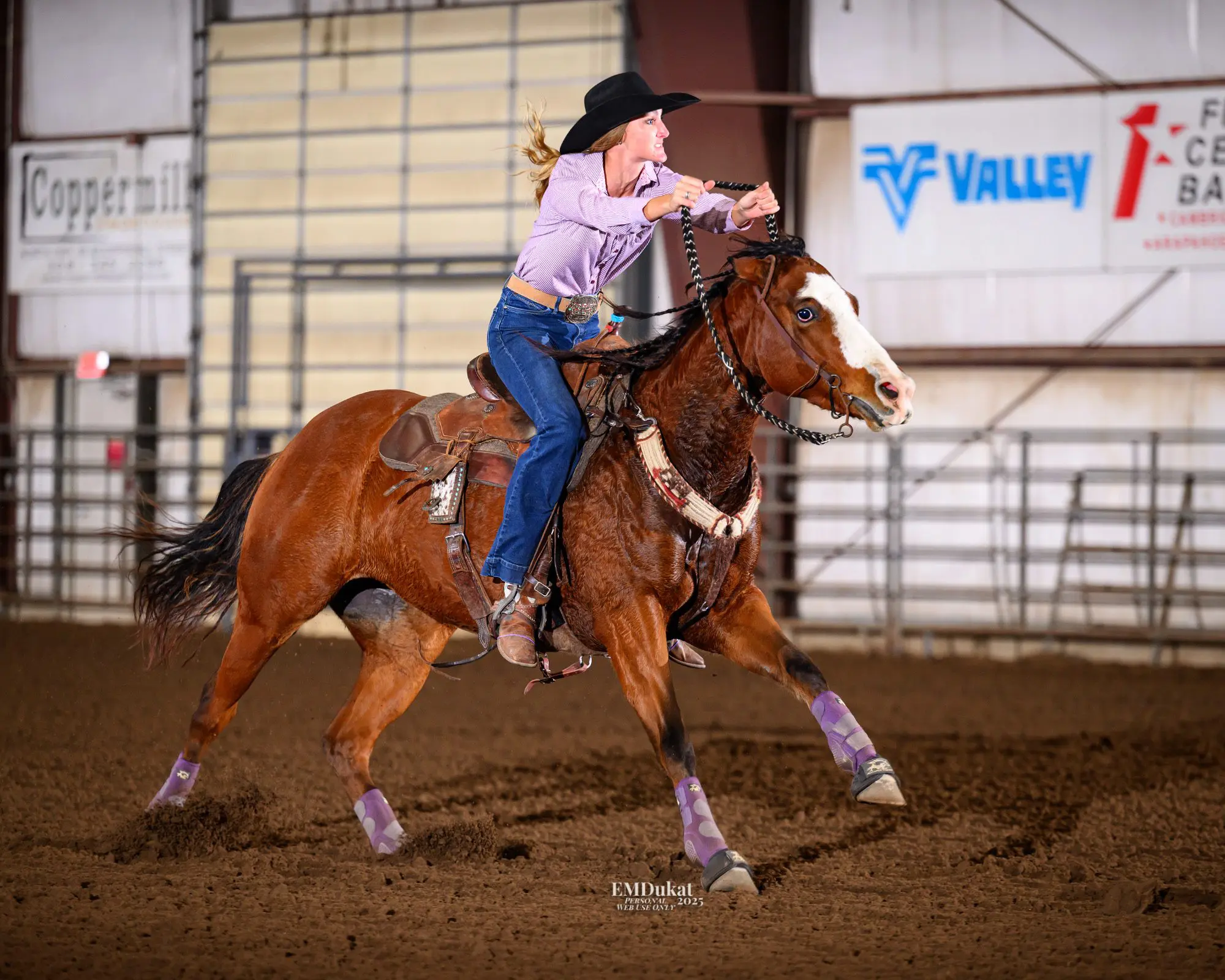 CM Performance Horses