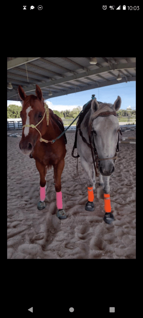 Used tack