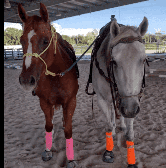 Used tack