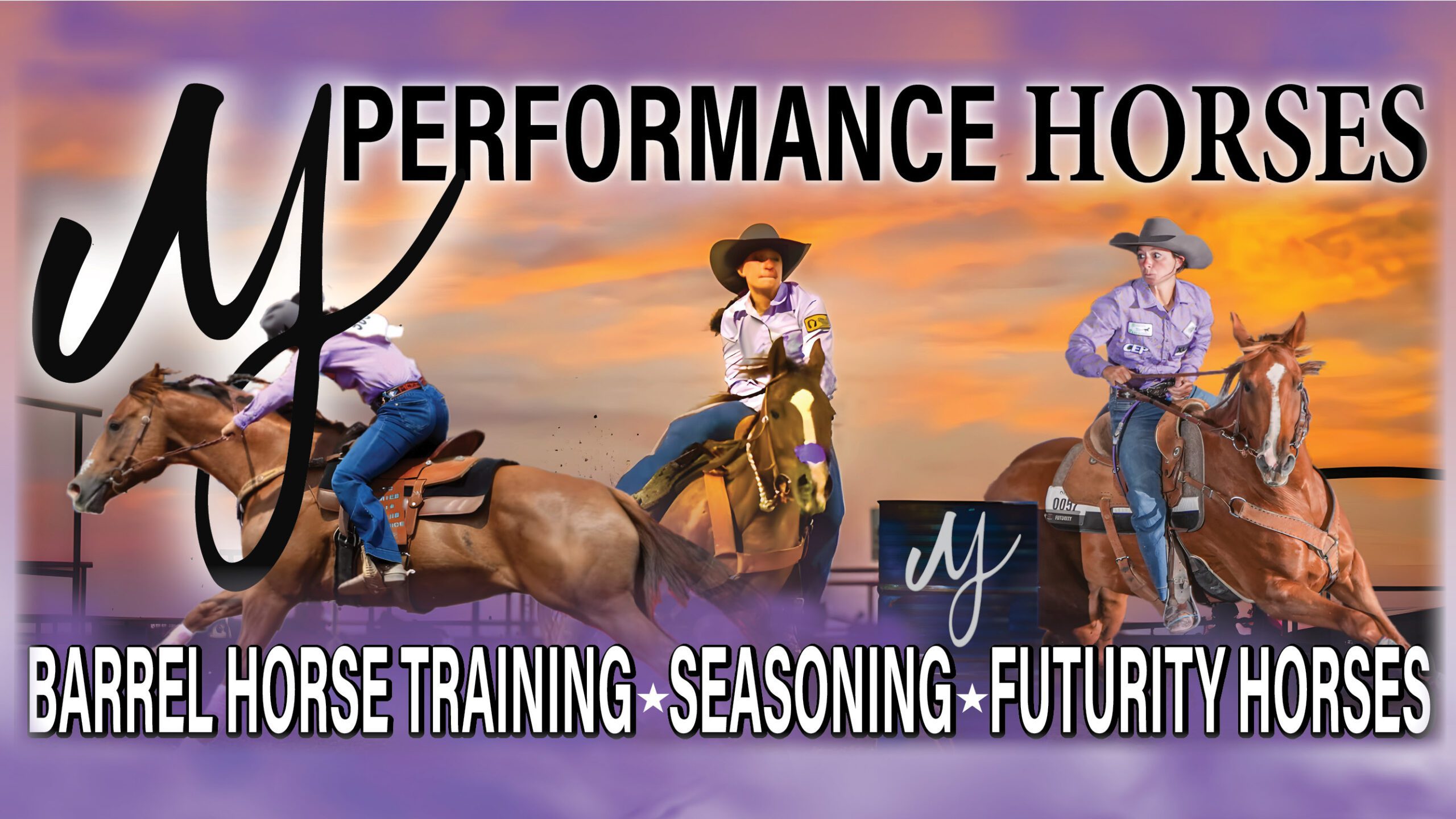 MJ Performance Horses