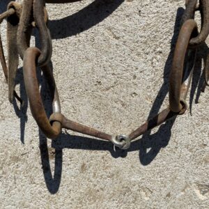 Clark White Fishback Snaffle + Cowhorse Supply Headstall