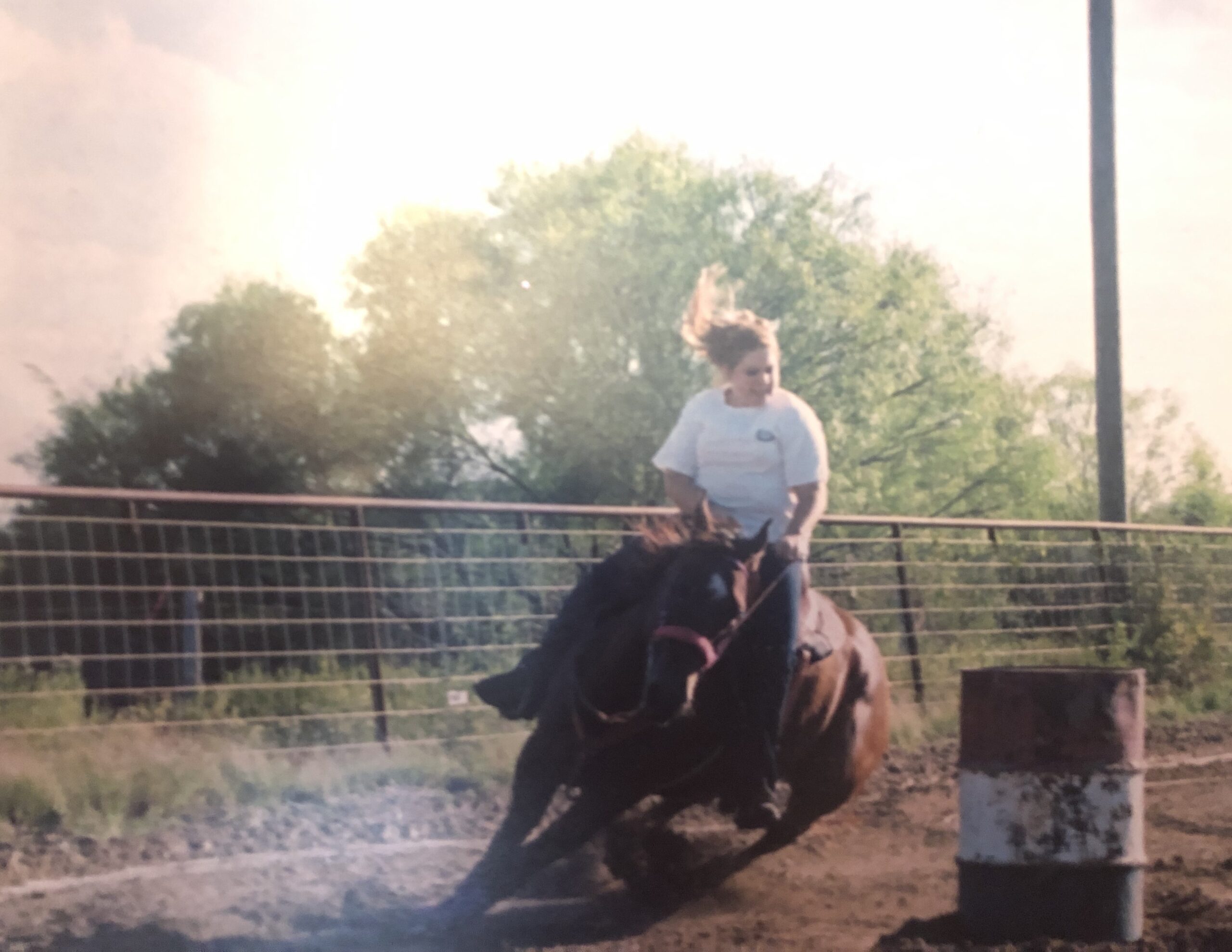 Pocket Change Performance Horses
